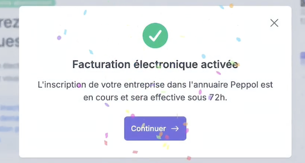 Facture électronique gratuite - Costructor étape 6